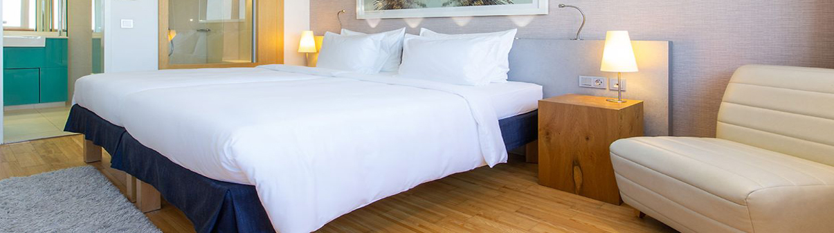 Hotel Website Banner